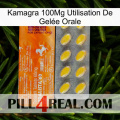 Kamagra 100Mg Utilisation De Gelée Orale new05